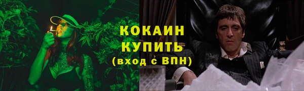 эйфоретик Белокуриха
