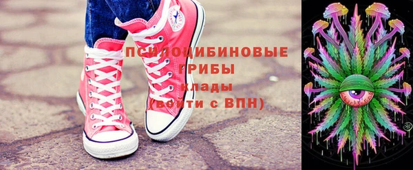 эйфоретик Белокуриха