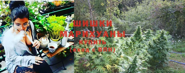 эйфоретик Белокуриха